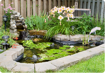 backyard-pond-fountains-90_9 Двор езерце фонтани
