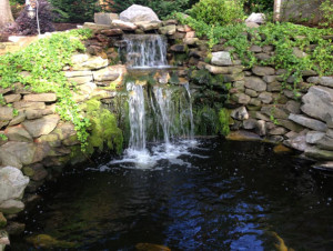 backyard-pond-ideas-with-waterfall-71_13 Идеи за езерце в задния двор с водопад