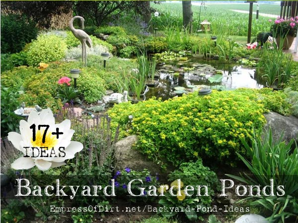 backyard-pond-ideas-64_18 Двор езерце идеи
