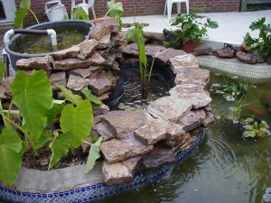 backyard-pond-kits-22_12 Двор езерце Комплекти