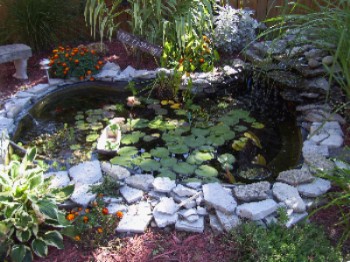 Двор езерце идеи за озеленяване