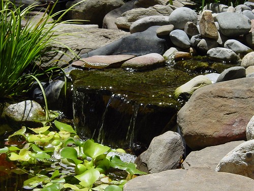 backyard-pond-landscaping-41 Двор езерце озеленяване
