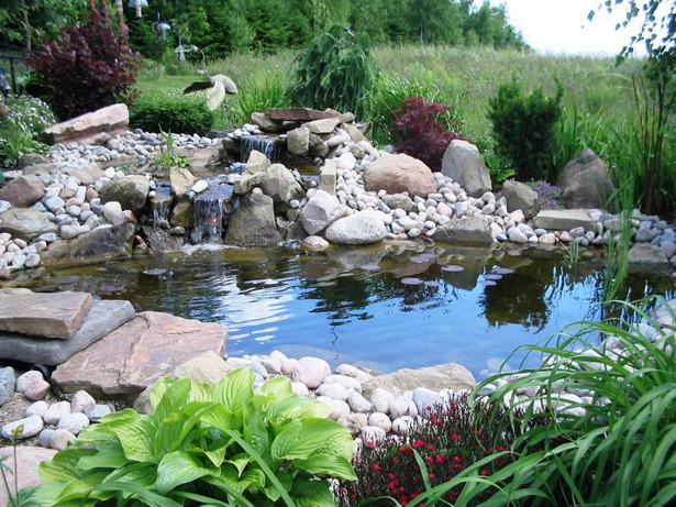 backyard-ponds-for-dummies-63 Двор езера за манекени