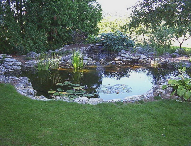 backyard-ponds-for-dummies-63_16 Двор езера за манекени