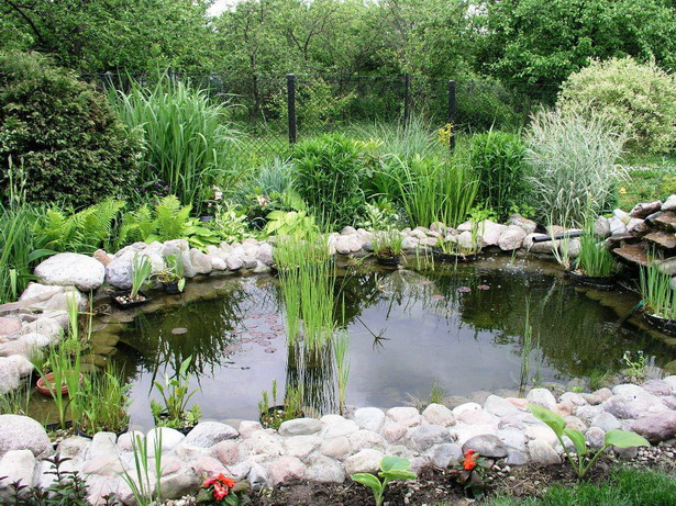 backyard-ponds-for-dummies-63_9 Двор езера за манекени