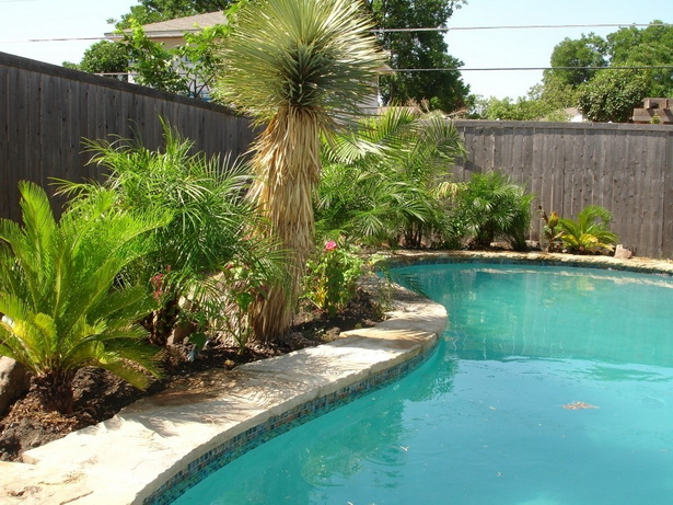 backyard-pool-landscape-designs-88_14 Двор басейн ландшафтен дизайн