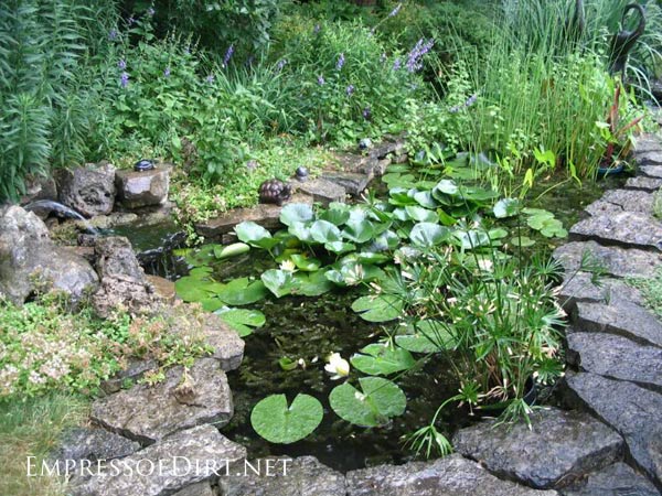 backyard-small-pond-ideas-15_19 Заден двор малки езерце идеи