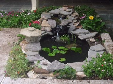 backyard-small-pond-ideas-15_4 Заден двор малки езерце идеи