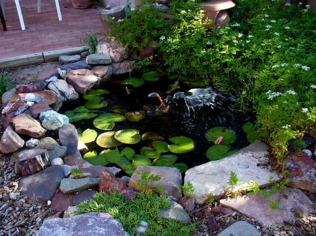 Заден двор малко езерце