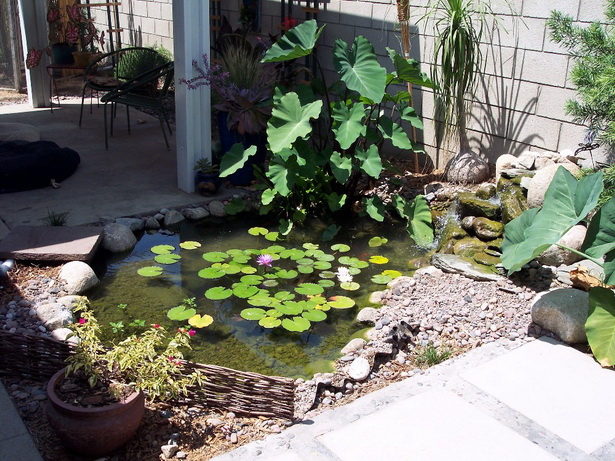 backyard-small-pond-31_6 Заден двор малко езерце