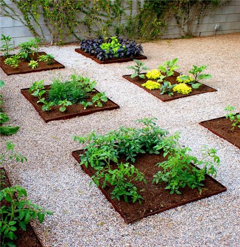 backyard-vegetable-garden-design-ideas-15_13 Дизайн на зеленчукова градина в задния двор