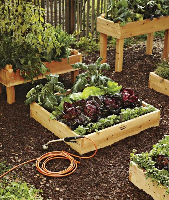 backyard-vegetable-garden-design-ideas-15_16 Дизайн на зеленчукова градина в задния двор