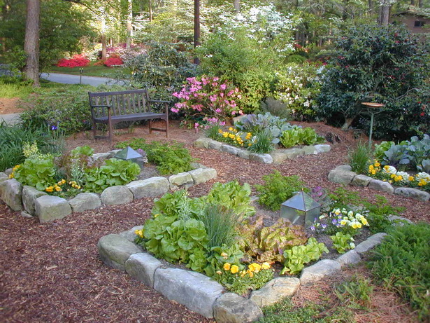 backyard-vegetable-garden-design-ideas-15_6 Дизайн на зеленчукова градина в задния двор