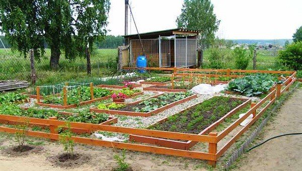 backyard-vegetable-garden-design-ideas-15_7 Дизайн на зеленчукова градина в задния двор