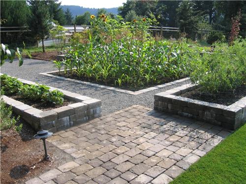 backyard-vegetable-garden-design-ideas-15_9 Дизайн на зеленчукова градина в задния двор