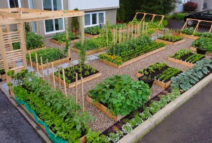 backyard-vegetable-garden-designs-88_5 Дизайн на зеленчукова градина в задния двор