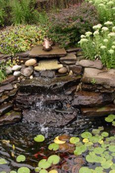 backyard-water-features-75_6 Характеристики на водата в задния двор