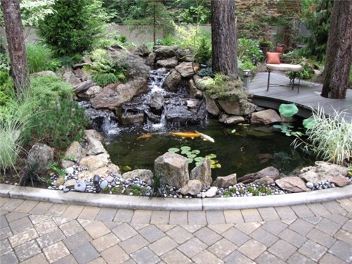 backyard-water-garden-ideas-99_10 Идеи за водна градина в задния двор