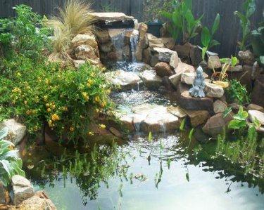 backyard-water-garden-ideas-99_16 Идеи за водна градина в задния двор