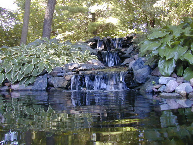 backyard-water-gardens-47_14 Двор водни градини