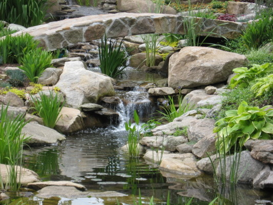 backyard-water-gardens-47_19 Двор водни градини