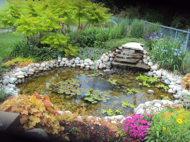 backyard-water-gardens-47_20 Двор водни градини