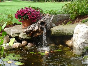backyard-water-gardens-47_6 Двор водни градини