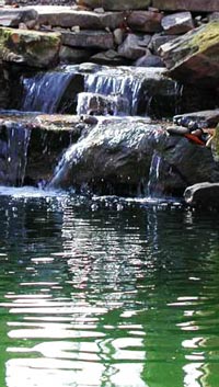 backyard-waterfalls-and-ponds-12_10 Двор водопади и езера