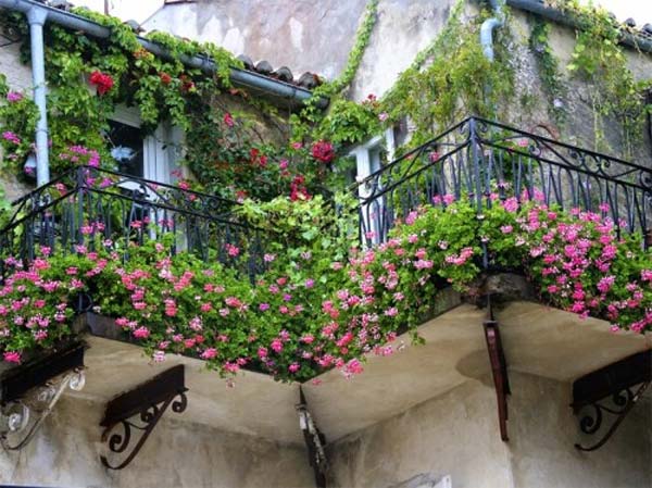 balcony-garden-ideas-17_7 Балкон градински идеи
