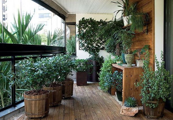 Балконски растения идеи