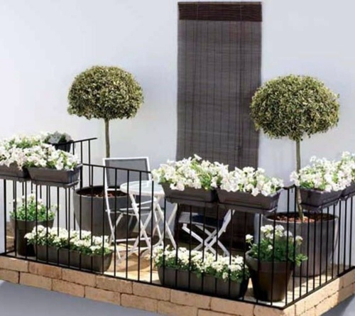 balcony-plants-ideas-03_10 Балконски растения идеи