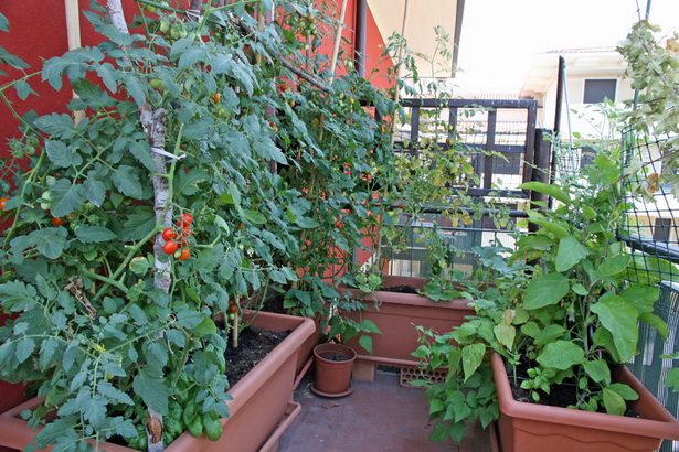 Балкон зеленчукова градина
