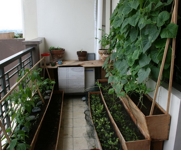 balcony-vegetable-garden-77_2 Балкон зеленчукова градина