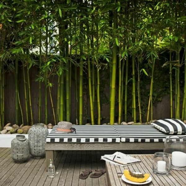 bamboo-backyard-landscaping-20_19 Бамбук задния двор озеленяване