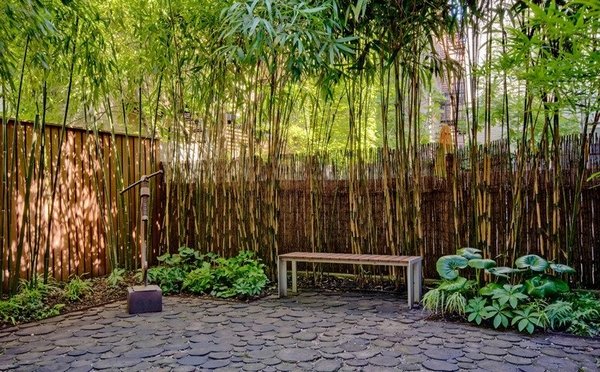 bamboo-backyard-landscaping-20_2 Бамбук задния двор озеленяване