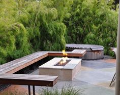 bamboo-backyard-landscaping-20_4 Бамбук задния двор озеленяване