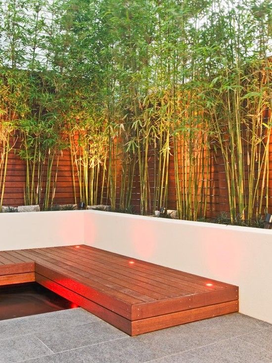 bamboo-backyard-landscaping-20_5 Бамбук задния двор озеленяване