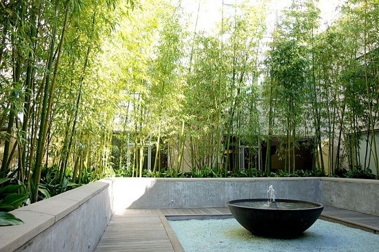 bamboo-backyard-landscaping-20_6 Бамбук задния двор озеленяване