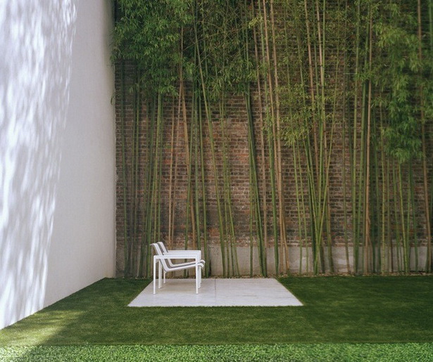 bamboo-backyard-landscaping-20_8 Бамбук задния двор озеленяване