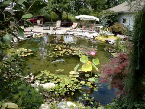 beautiful-backyard-ponds-91_11 Красиви двор езера