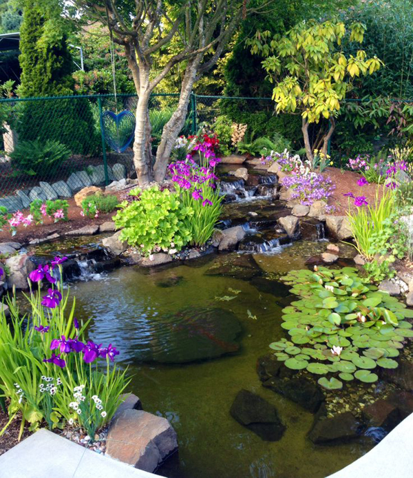 beautiful-backyard-ponds-91_2 Красиви двор езера