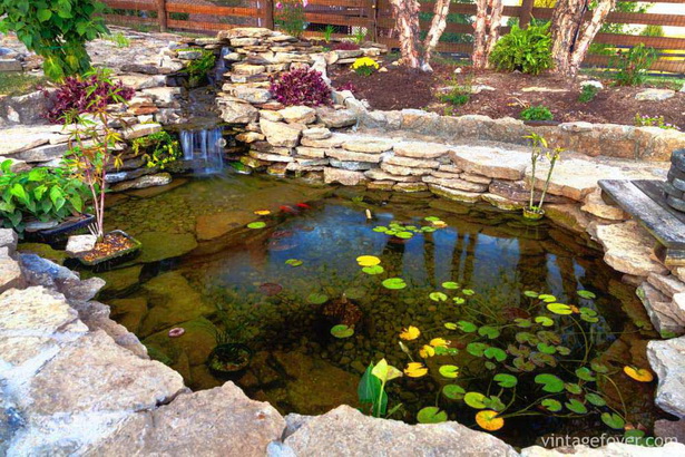 beautiful-backyard-ponds-91_4 Красиви двор езера