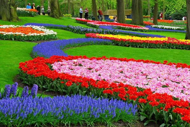beautiful-flower-bed-ideas-96_15 Красиви идеи за цветни лехи