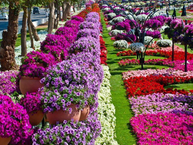 beautiful-flower-beds-18 Красиви цветни лехи