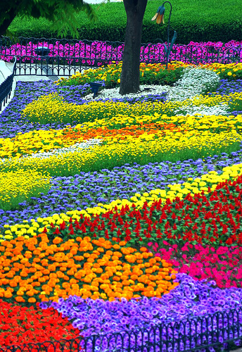 beautiful-flower-beds-18_17 Красиви цветни лехи
