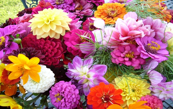 Красиви идеи за цветна градина