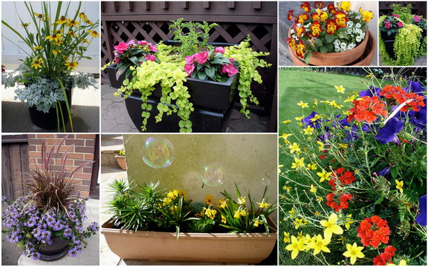 beautiful-flower-garden-ideas-84_13 Красиви идеи за цветна градина