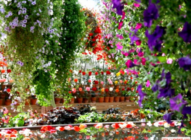 beautiful-flower-garden-ideas-84_3 Красиви идеи за цветна градина