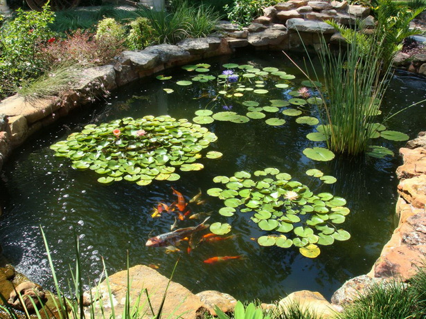 beautiful-garden-ponds-54 Красиви градински езера