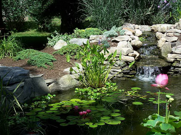 beautiful-garden-ponds-54_19 Красиви градински езера
